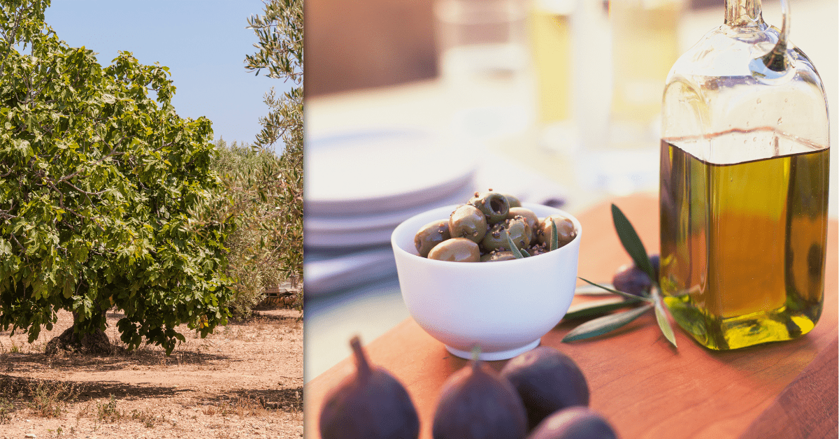 300g Figues Séchées Avec Origan Et Huile D'olive (شريحة بالثوم والزيت) -  riwak - Livraison Des Produits Naturels Et 100% Bio